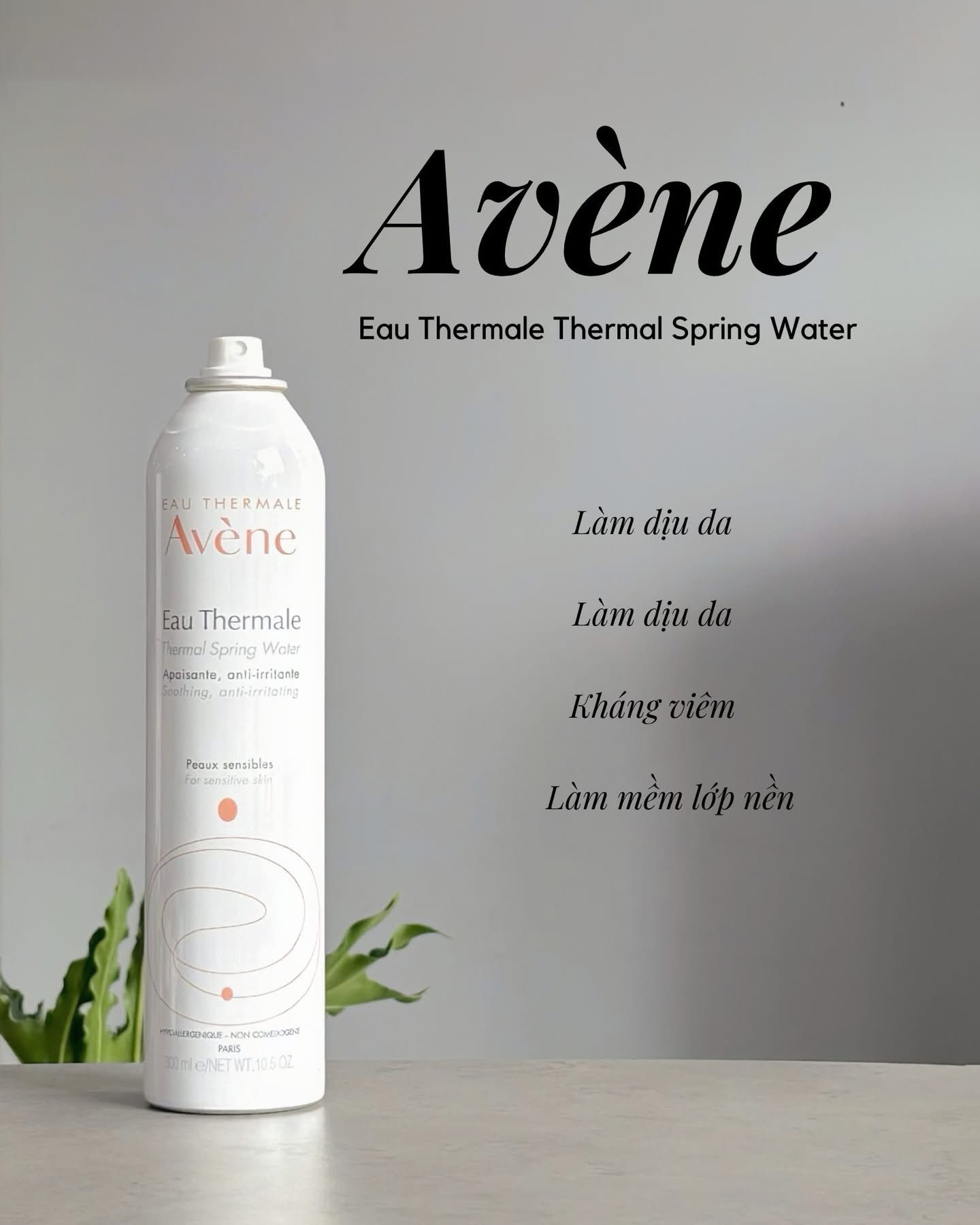 499924594_990863279698175_6273519222649038615_n