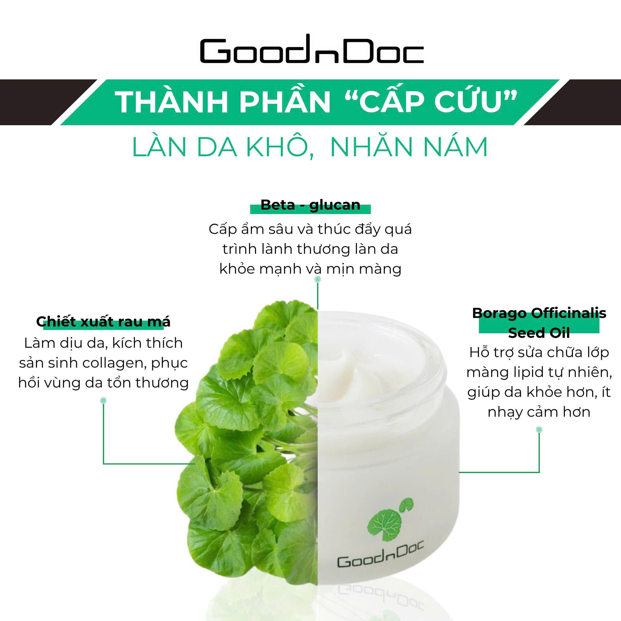 z6871087935737_61a823aa12f6bb8a86e999f5755af8be