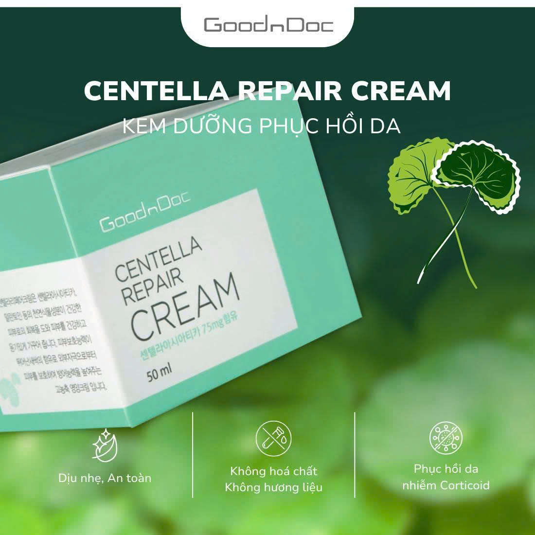 z6880266469749_8cbea8e536fd1dc7495f22ee7ad4250d