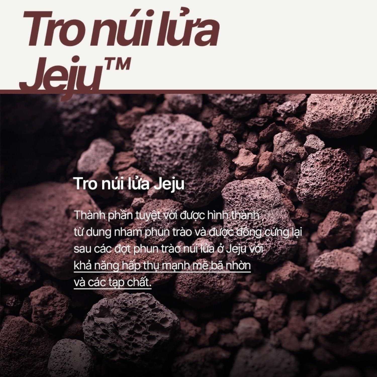 420092817_771856071638339_8208725028946672559_n