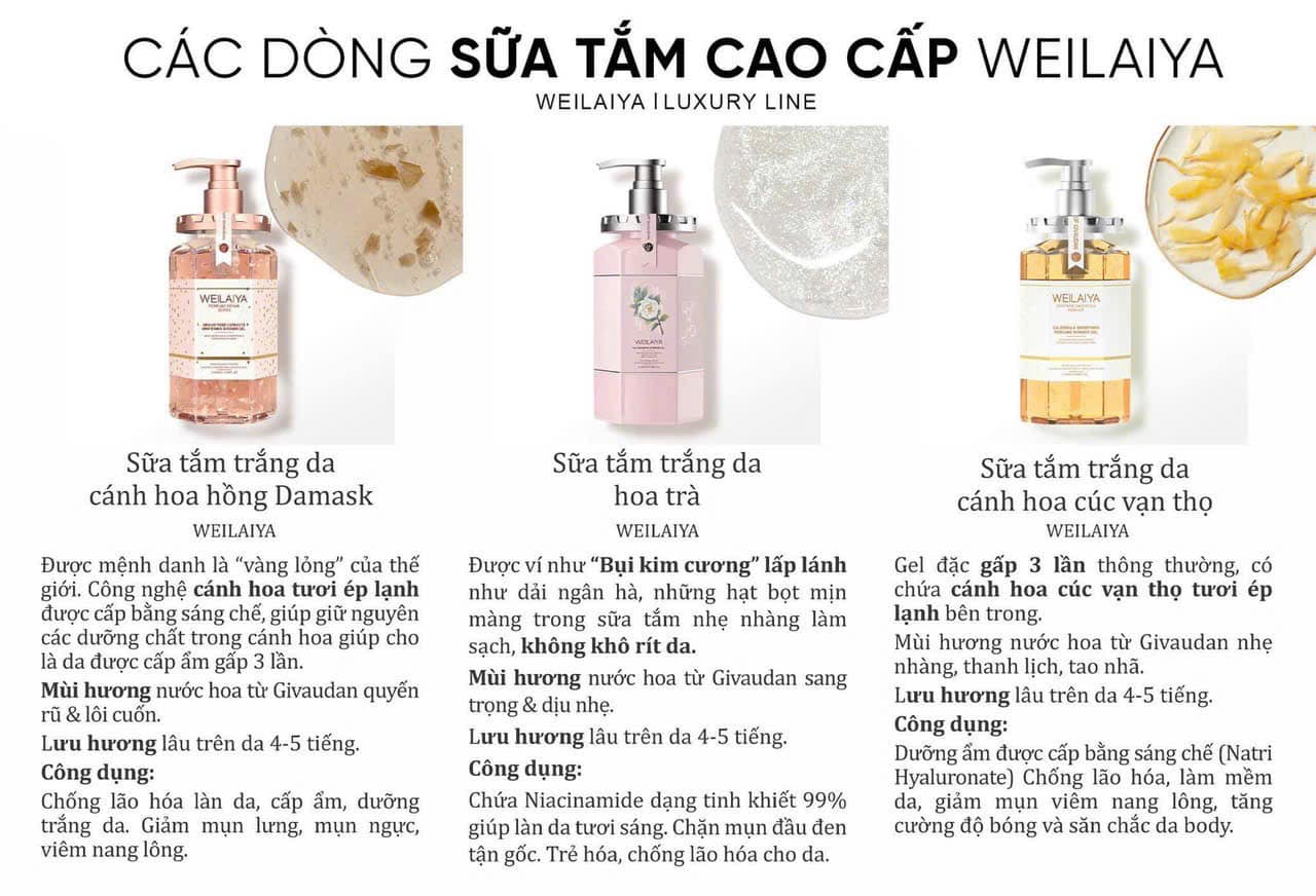 462261435_1253865692292812_4763549321641928420_n