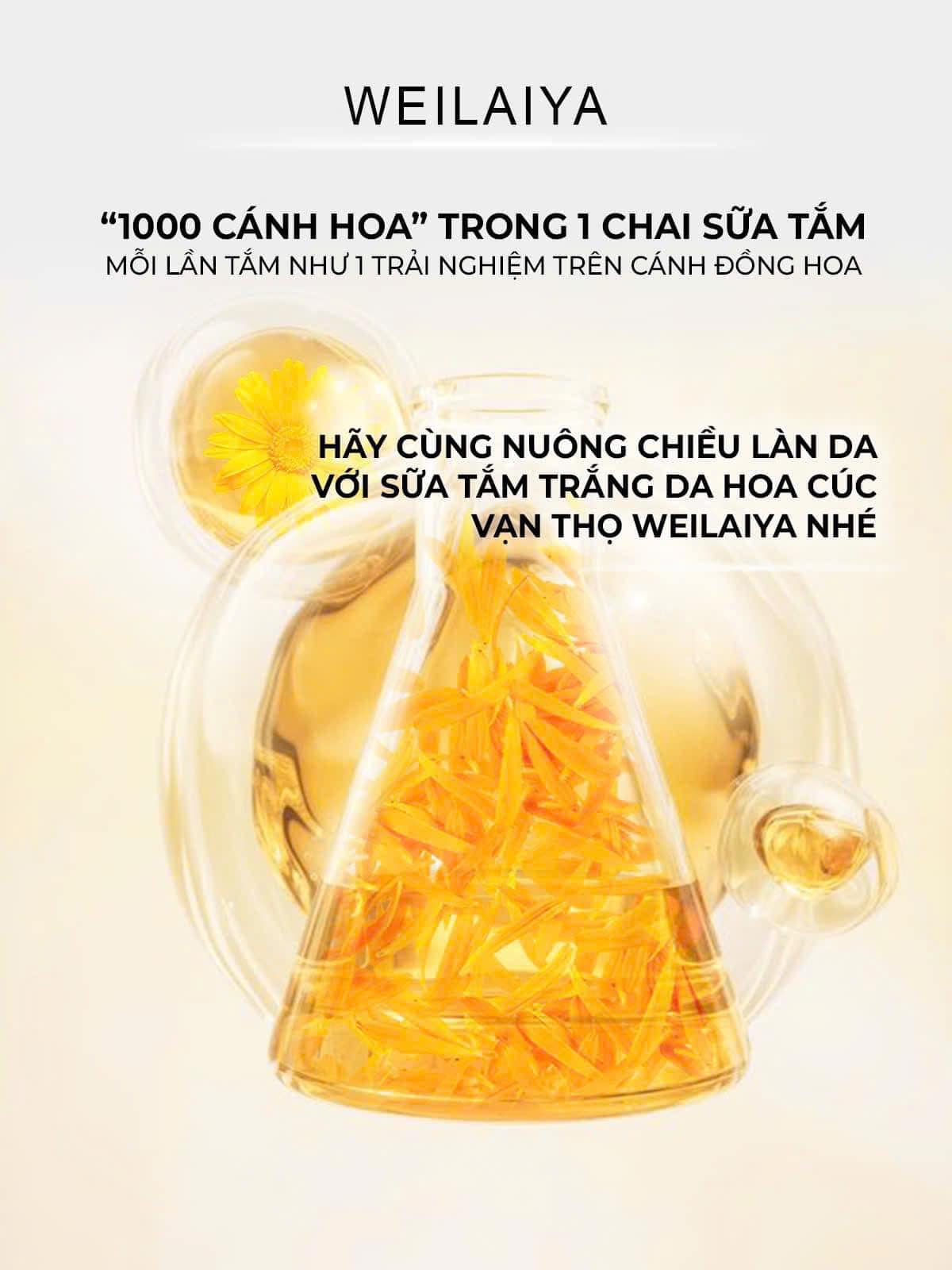 462319798_4756408497917732_4372362086564127465_n