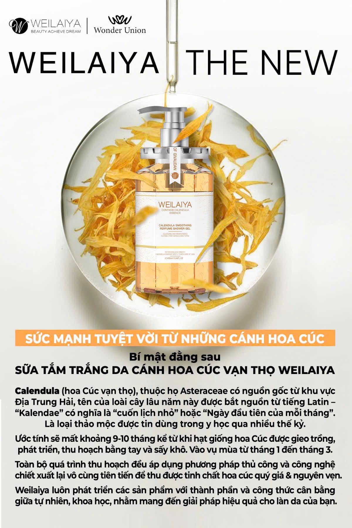 463062539_4589220507968749_2829917814646175615_n