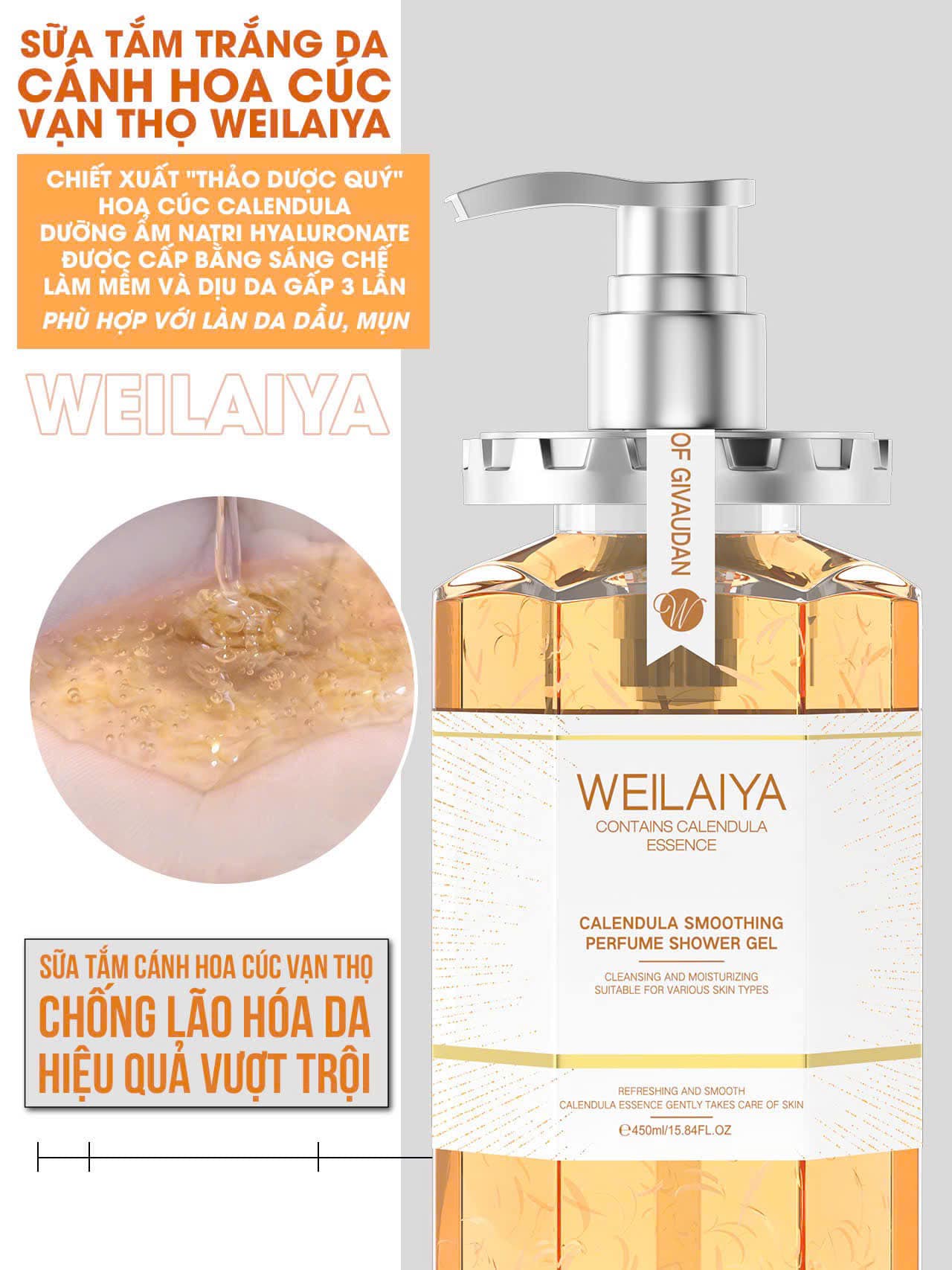 463275037_4589220477968752_2929428942423894042_n