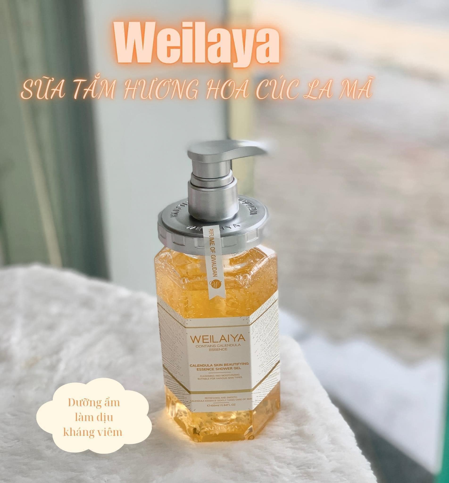 464319445_3593158037497192_8821551613625222339_n