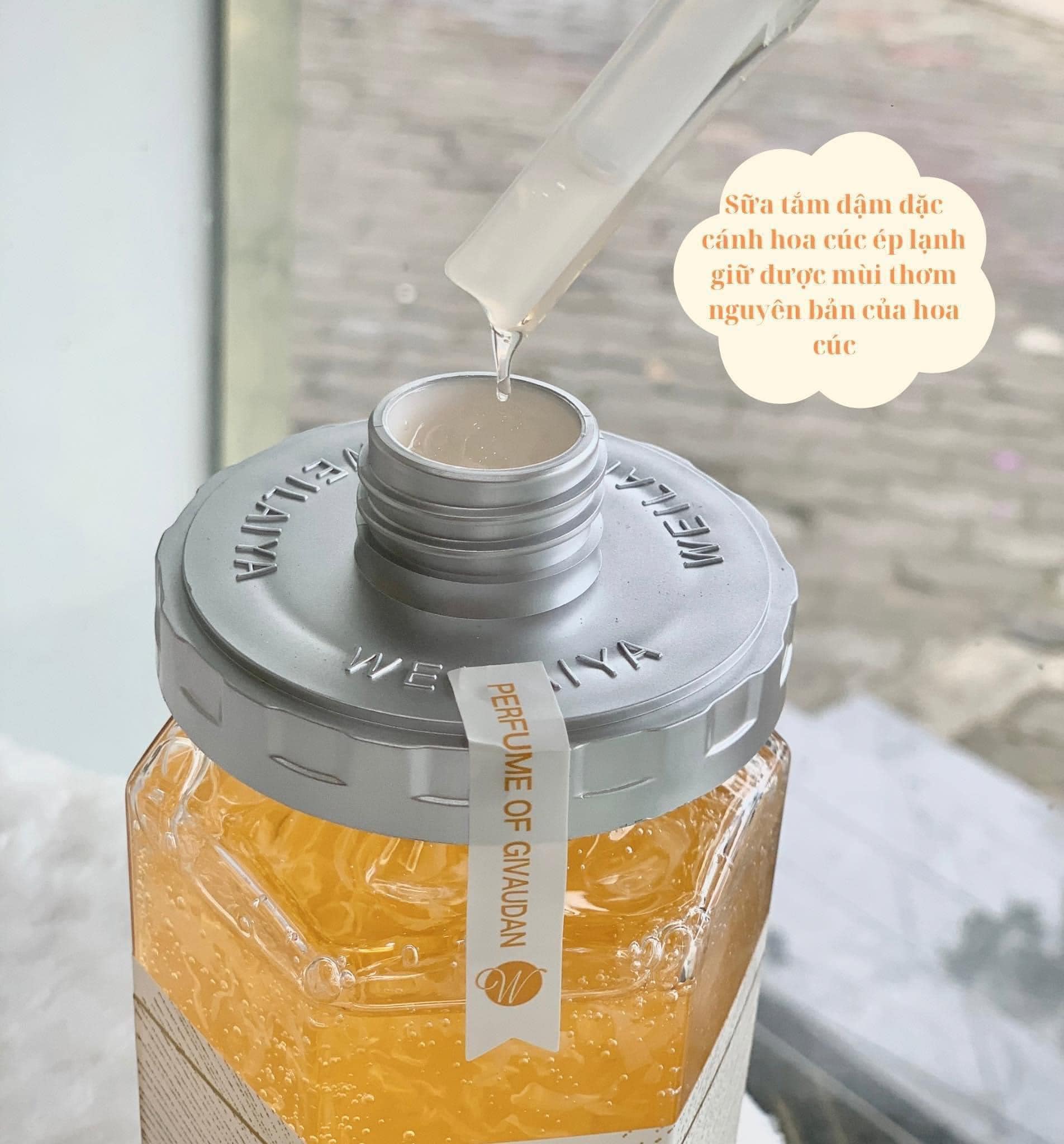 464964983_3593158044163858_4106843629460335851_n