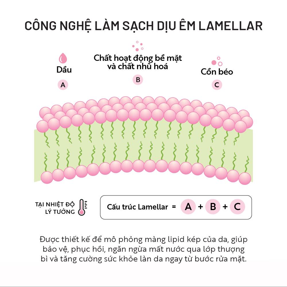 518274894_754973413556763_5269067845784352716_n