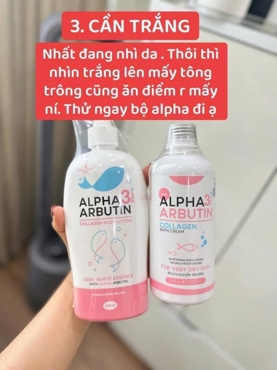 492005197_1370627200718826_8482230737592190925_n