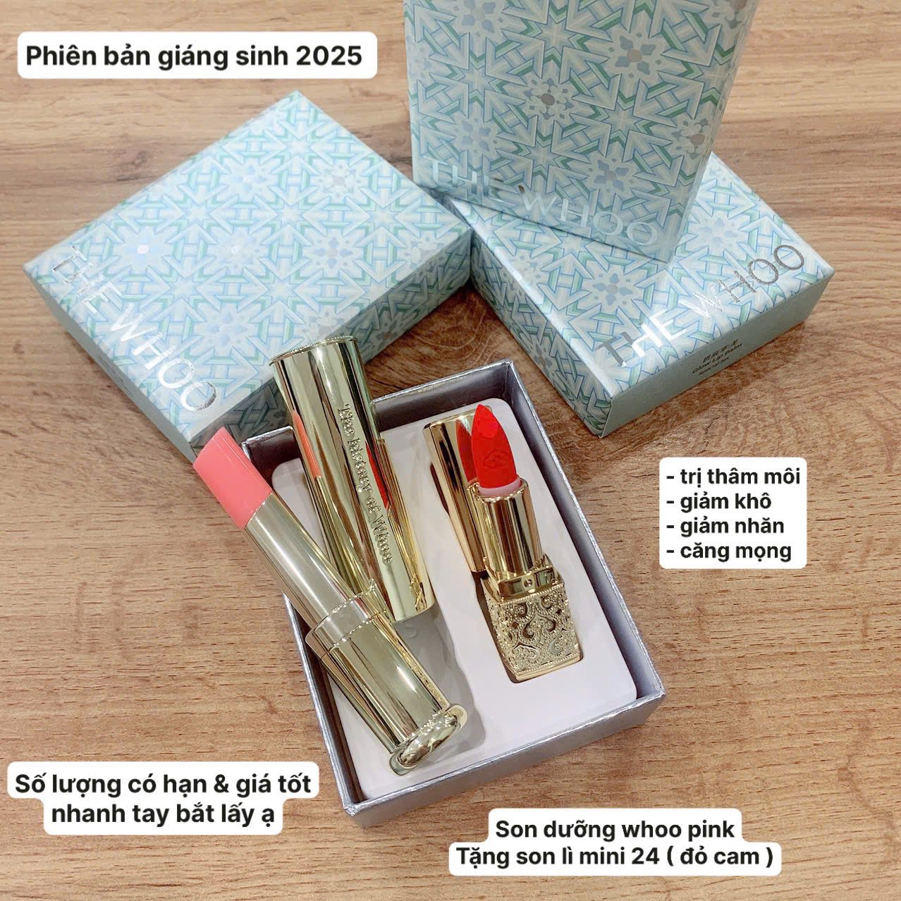 574347740_24606385255711333_1732299861666831416_n