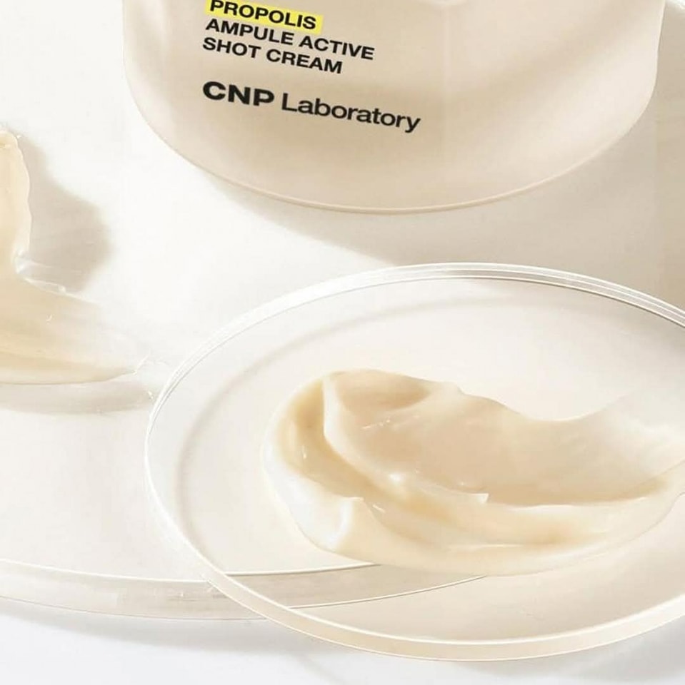 481312531_543870842047761_6249960486354456010_n